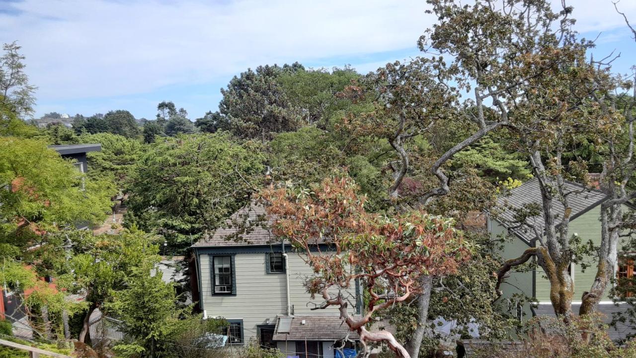 Sea Birds Cottage Victoria Extérieur photo